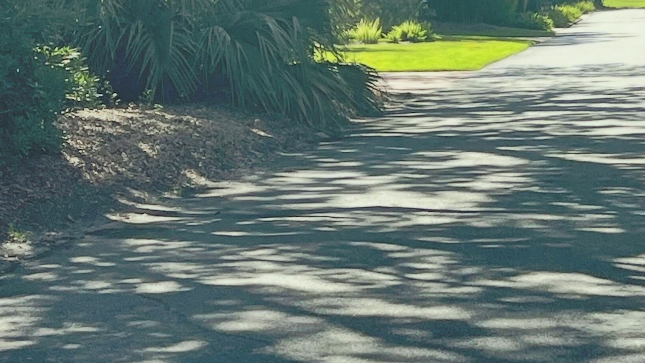 Photo of Others in Sea Island
