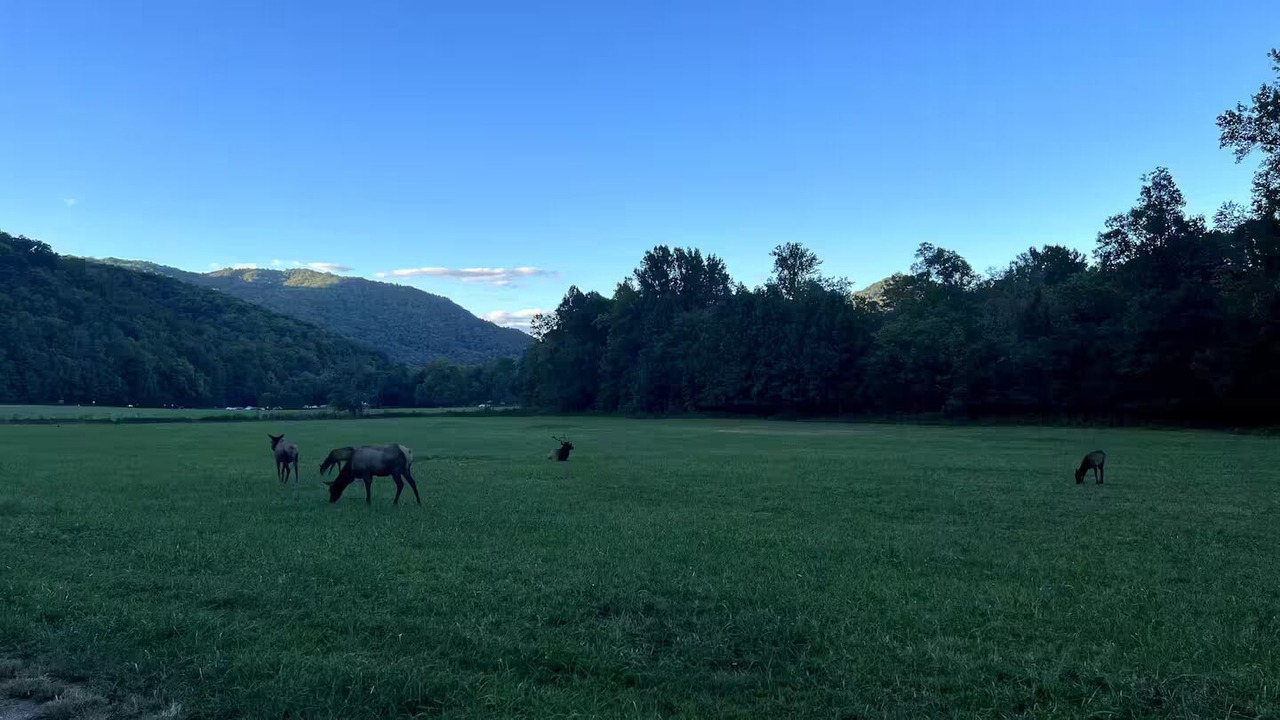 Photo of Others in Lake Toxaway