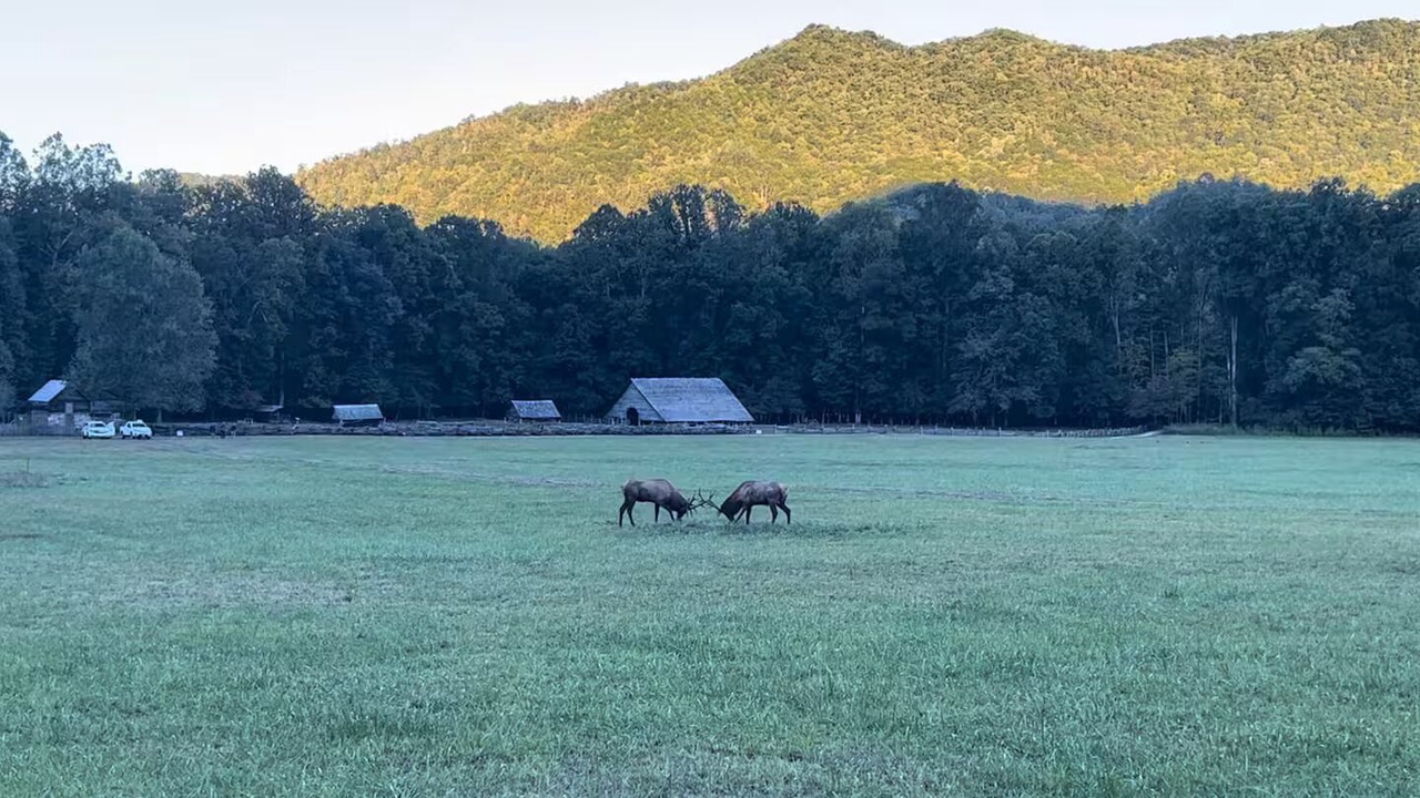 Photo of Others in Lake Toxaway