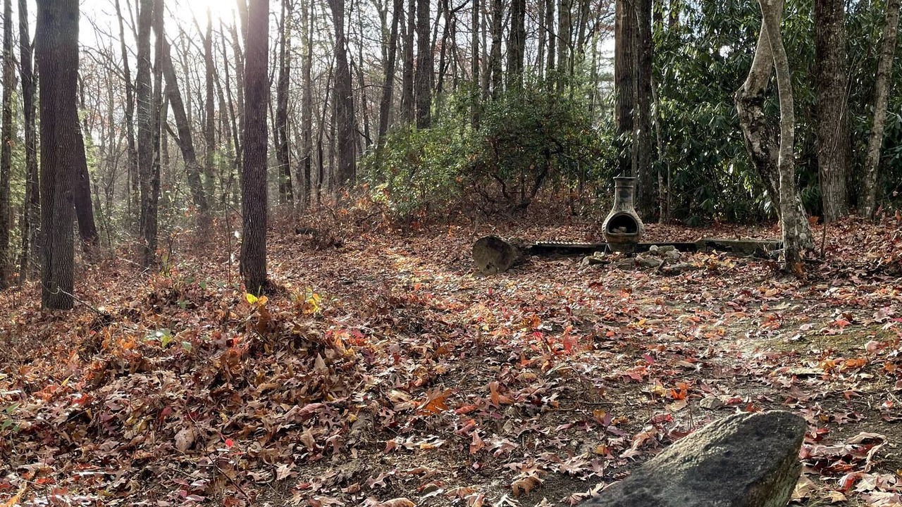 Photo of Outdoor in Lake Toxaway