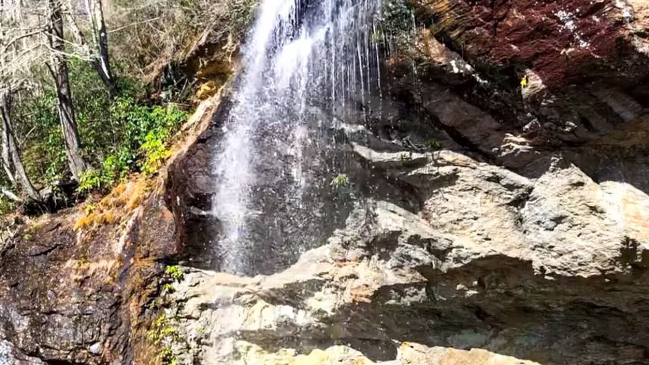 Photo of Others in Lake Toxaway