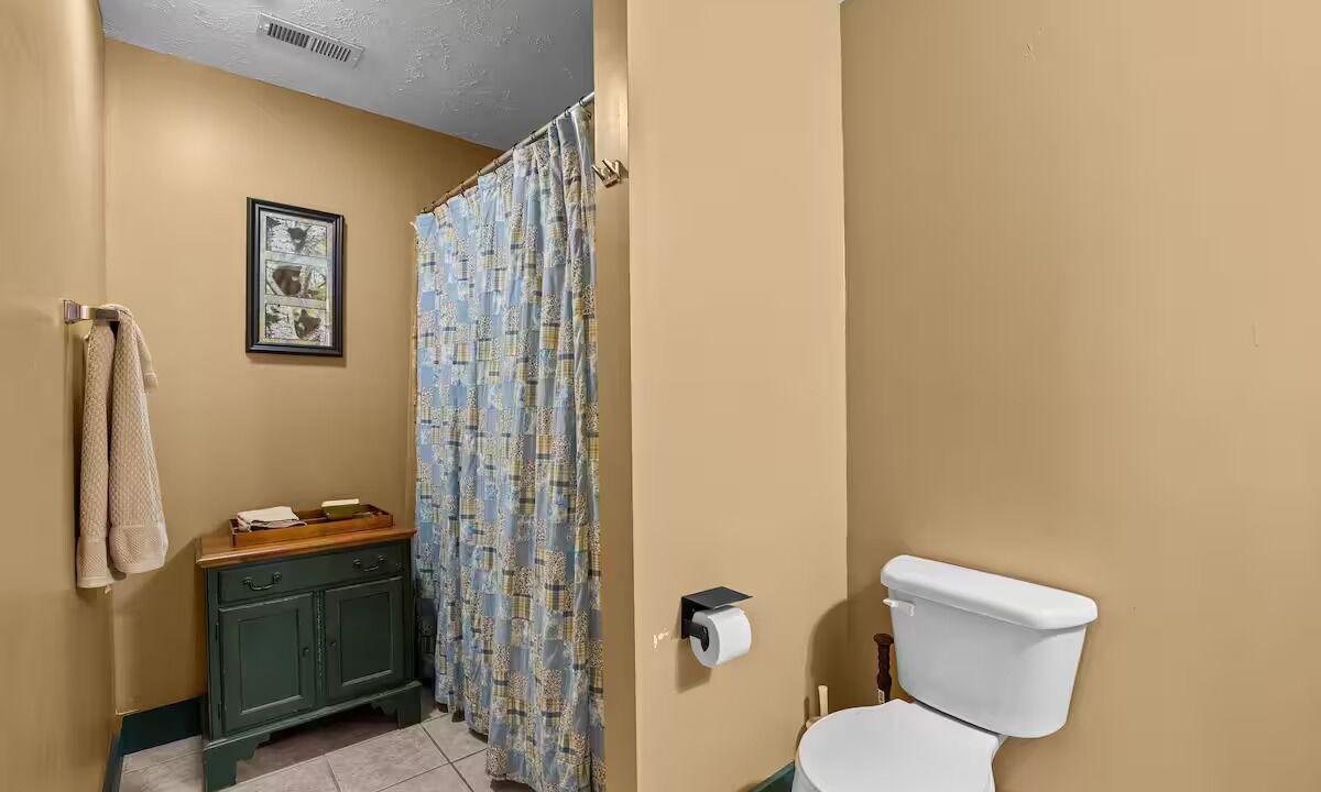 Photo of Bathroom in Mountain Springs