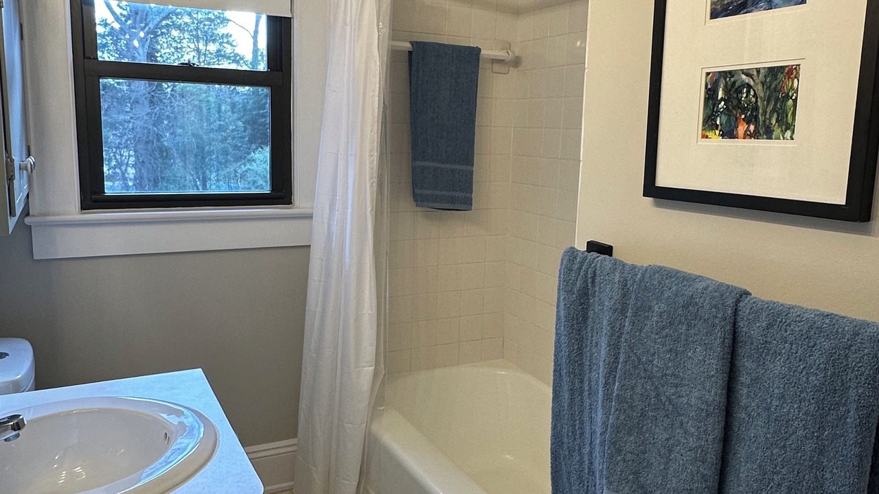 Photo of Bathroom in Oakwood Historic District