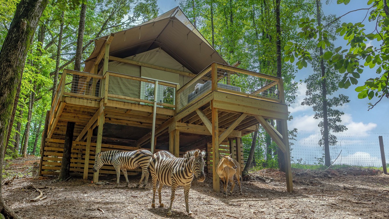 Photo of Outdoor in Troutman