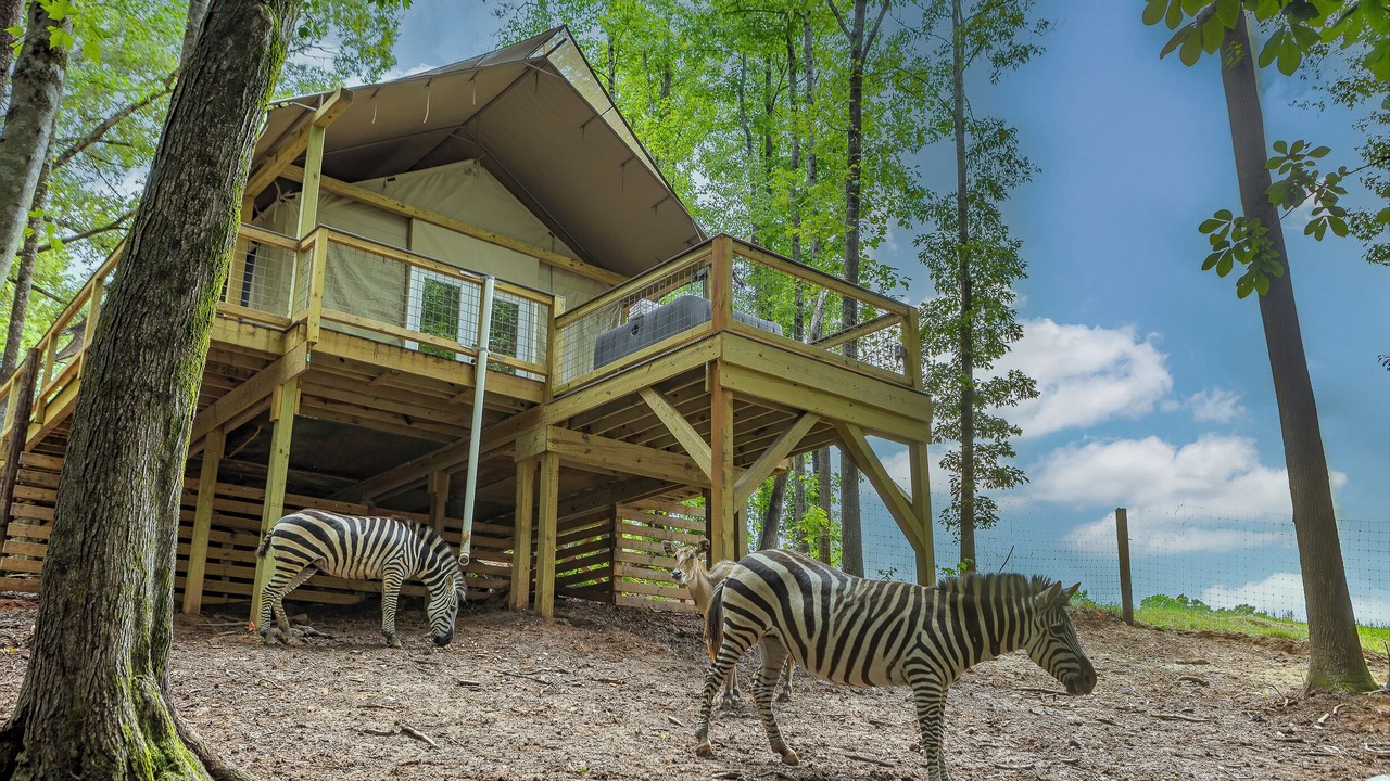 Photo of Outdoor in Troutman
