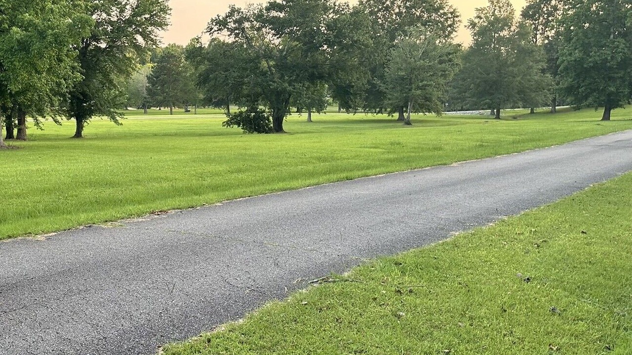 Photo of Others in Crane Hill