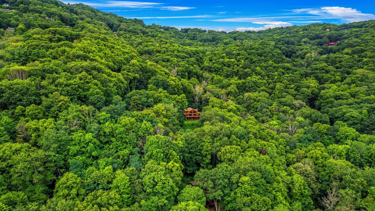 Photo of Others in Maggie Valley