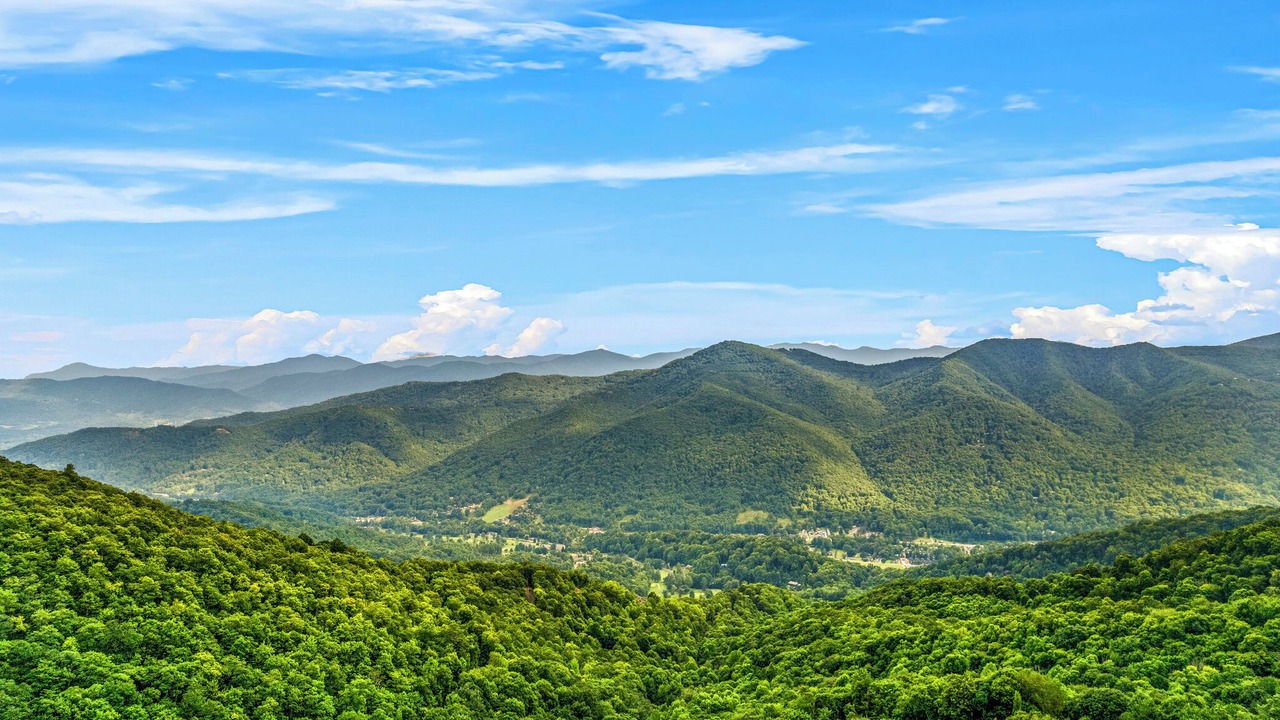 Photo of Others in Maggie Valley