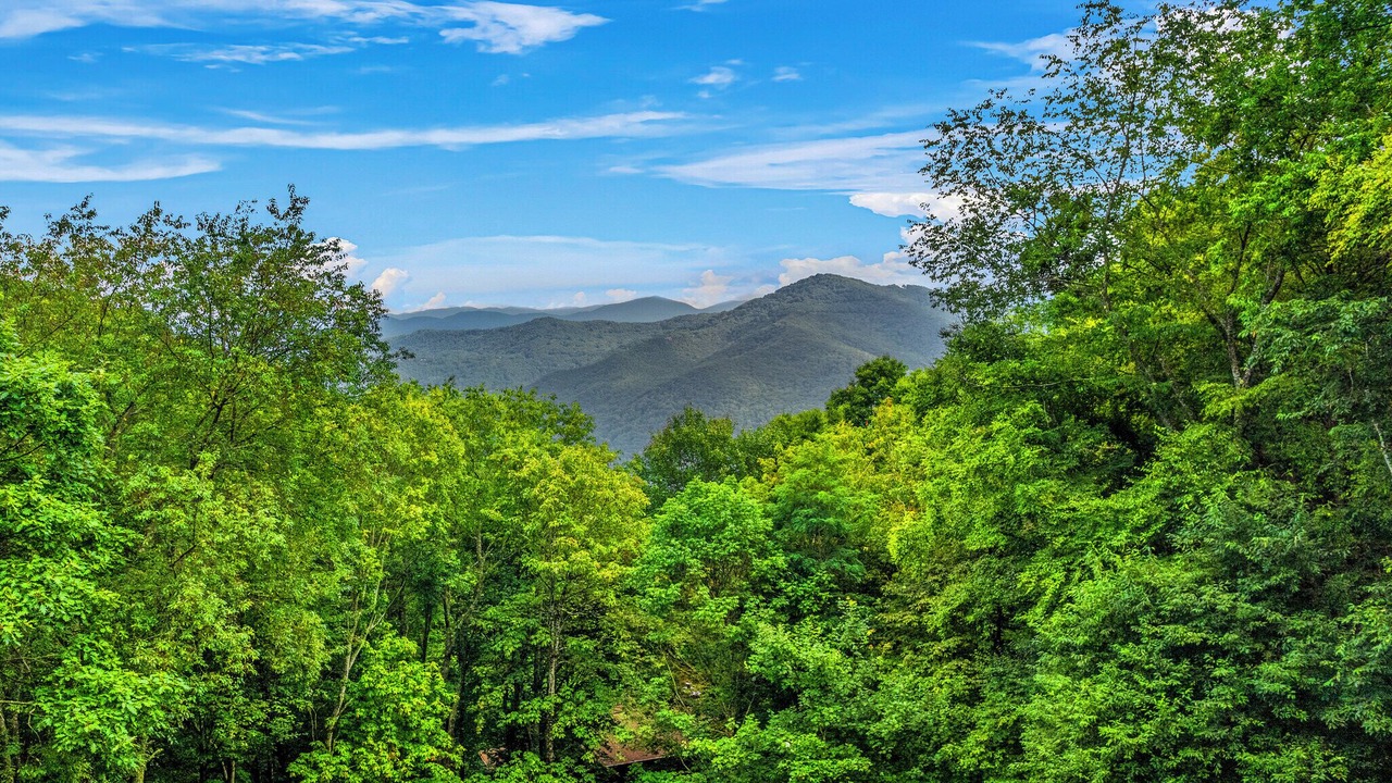 Photo of Others in Maggie Valley