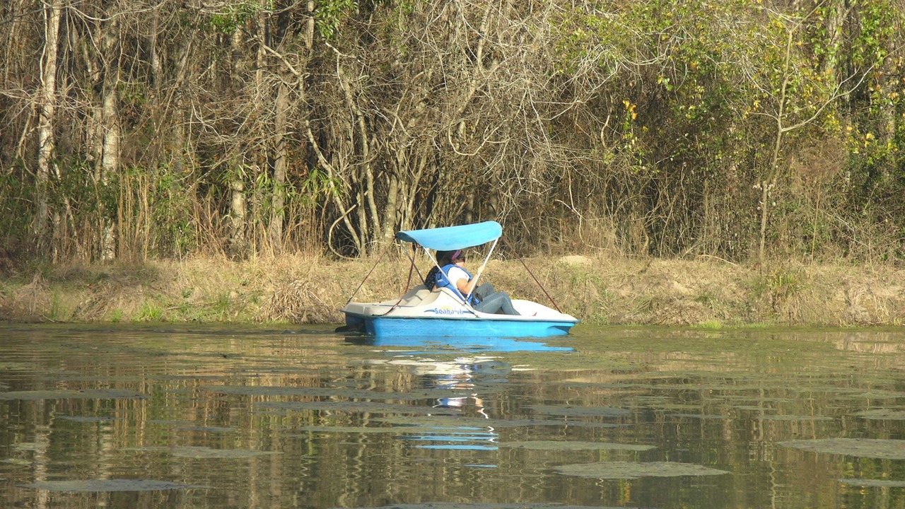 Photo of Others in Rupert