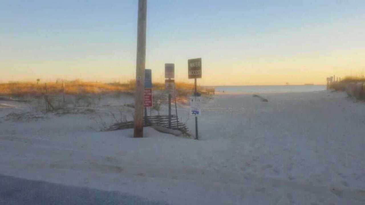 Photo of Others in Gulf Shores