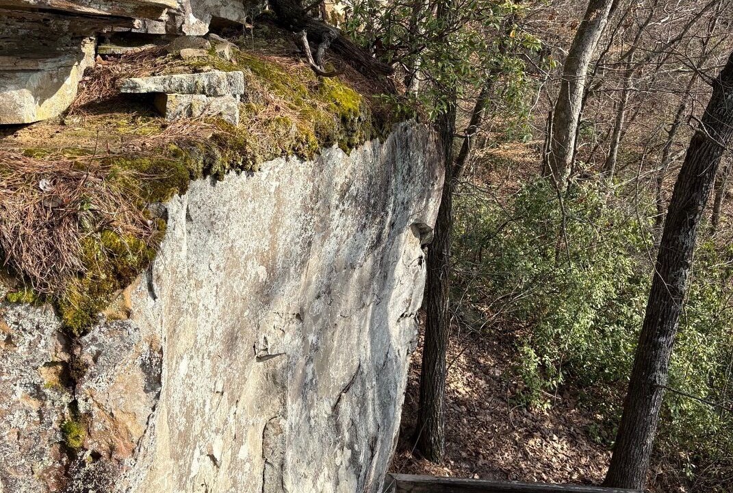Photo of Outdoor in Crane Hill