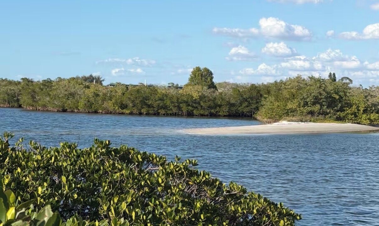 Photo of Others in Tarpon Springs