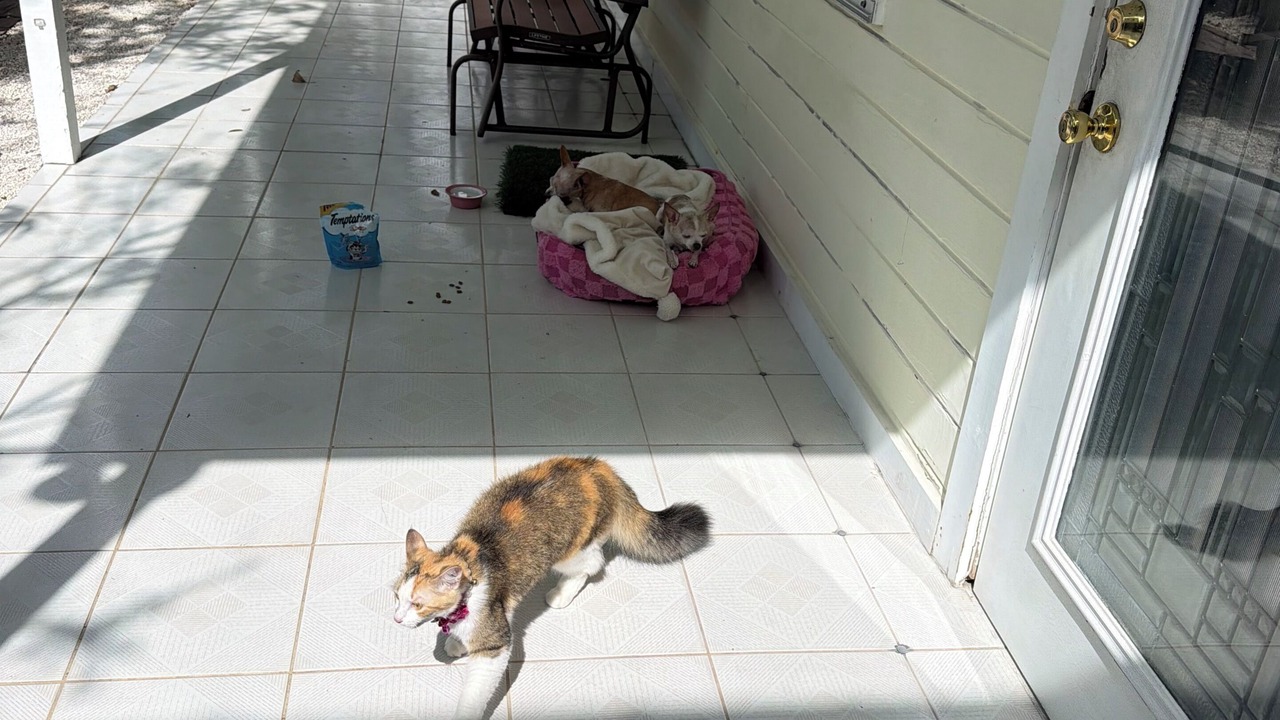 Photo of Patio Balcony in Key West