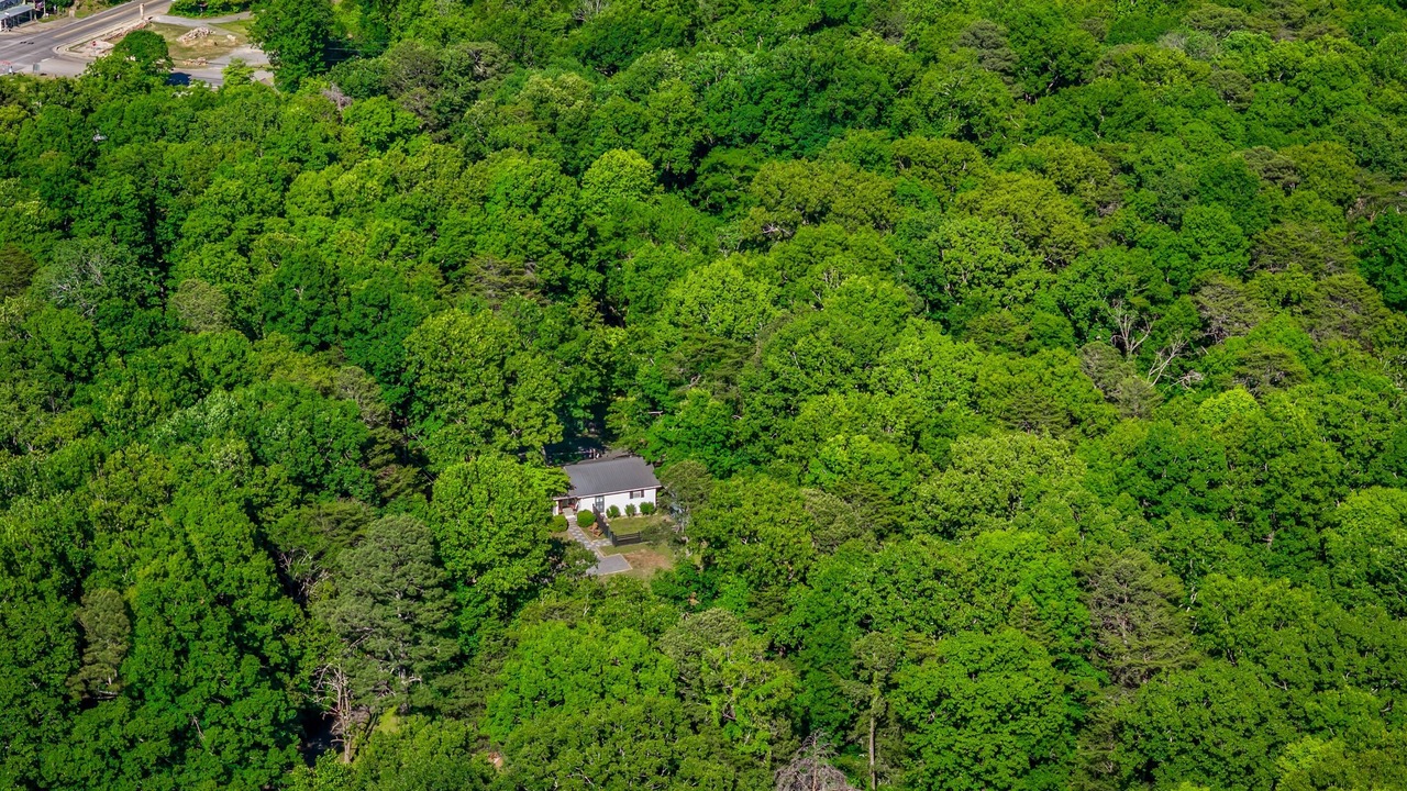 Photo of Outdoor in Mentone
