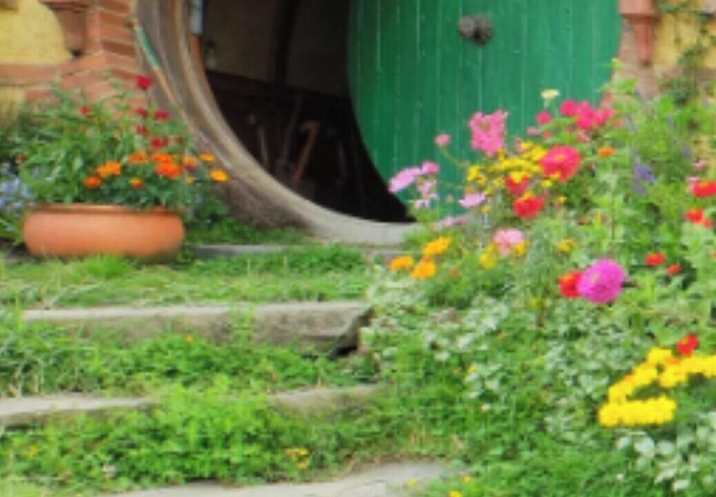 Photo of Outdoor in Flat Rock