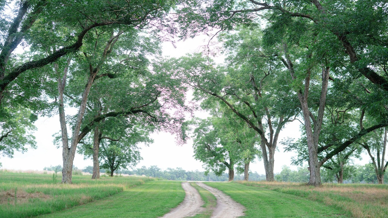 Photo of Others in Miller County