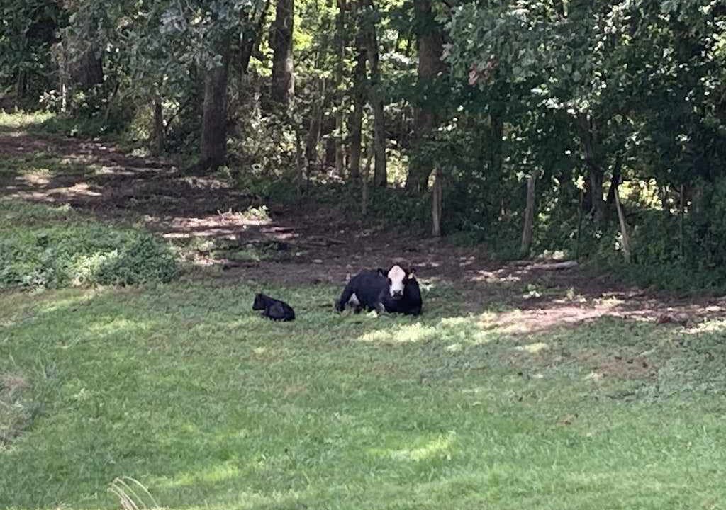Photo of Others in Mars Hill