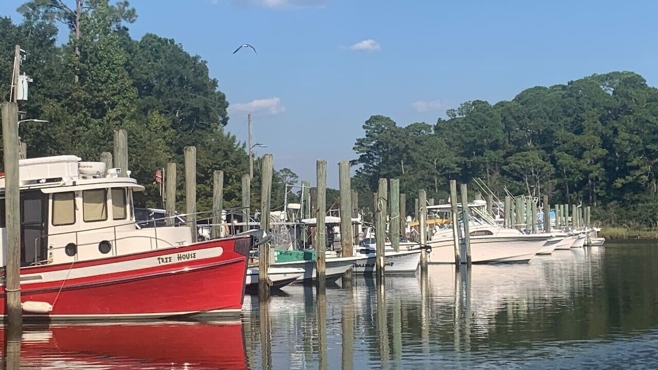 Photo of Others in Ocean Springs
