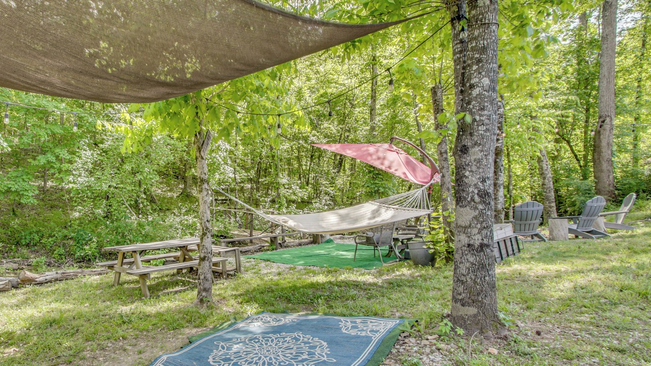 Photo of Outdoor in Rogersville