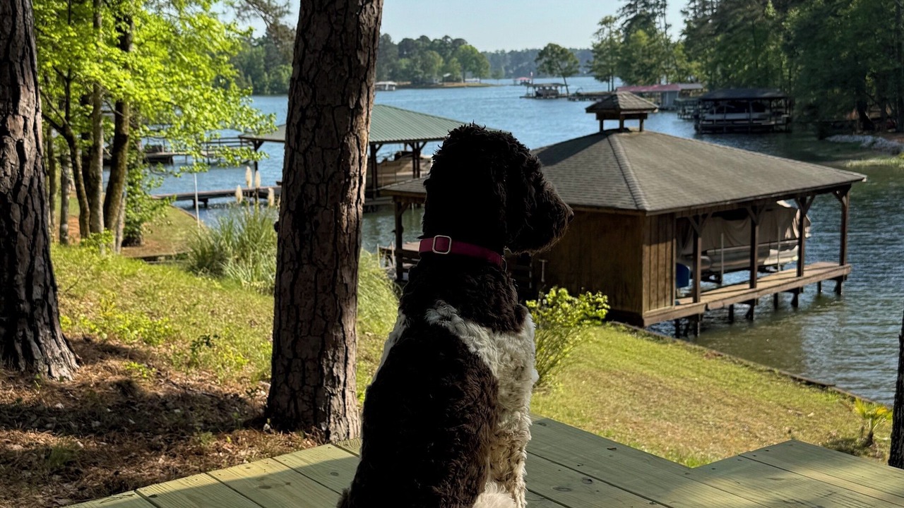 Photo of Outdoor in Milledgeville