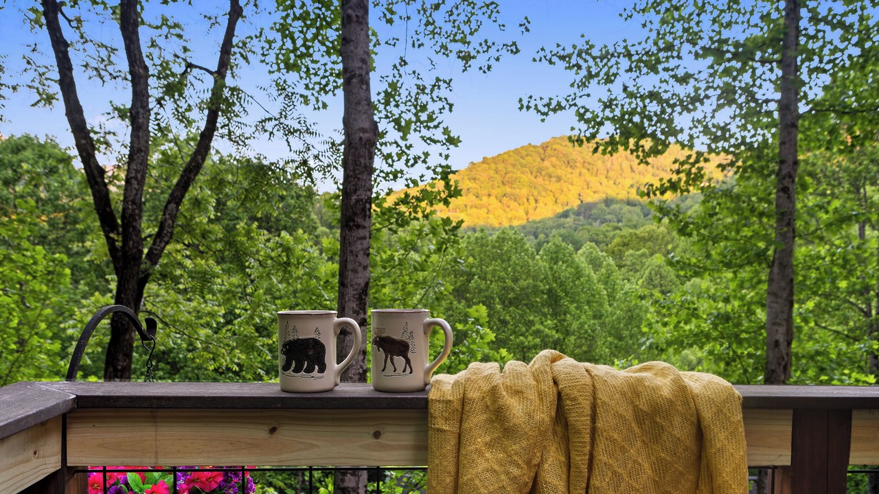 Photo of Outdoor in Maggie Valley