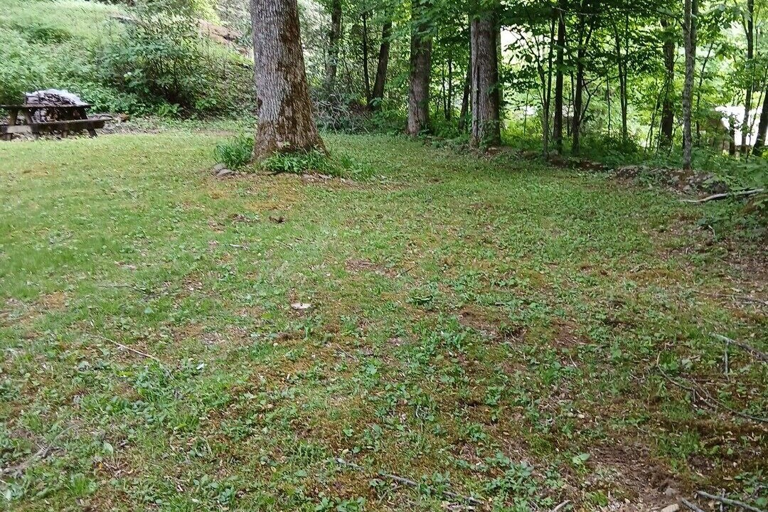 Photo of Outdoor in Maggie Valley