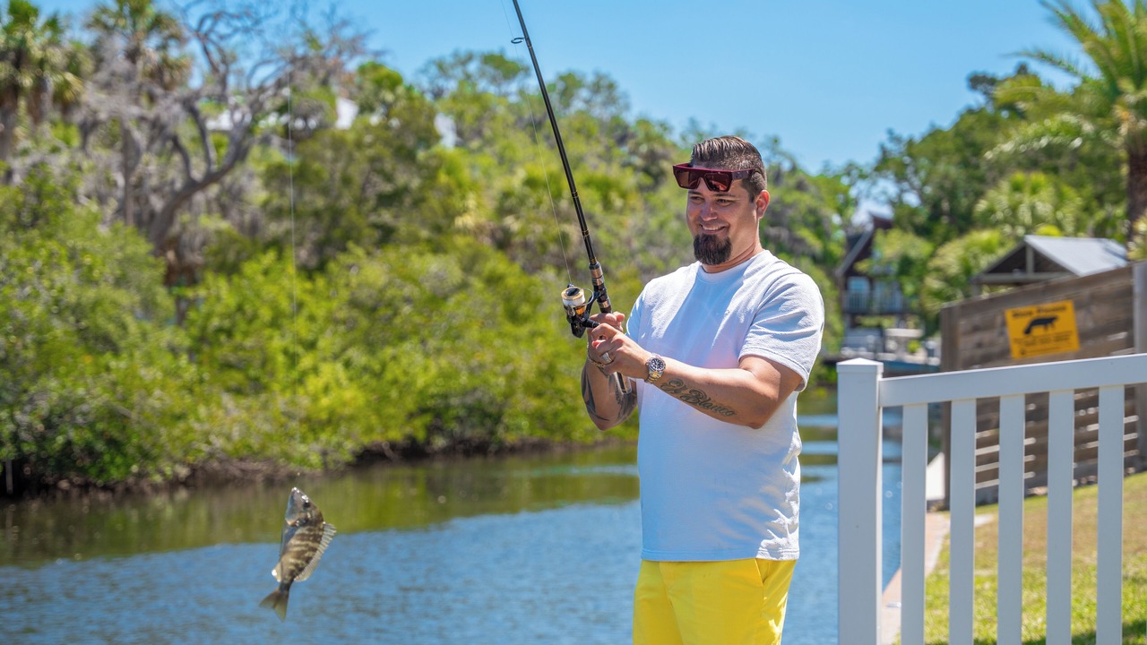 Photo of Others in Port Richey