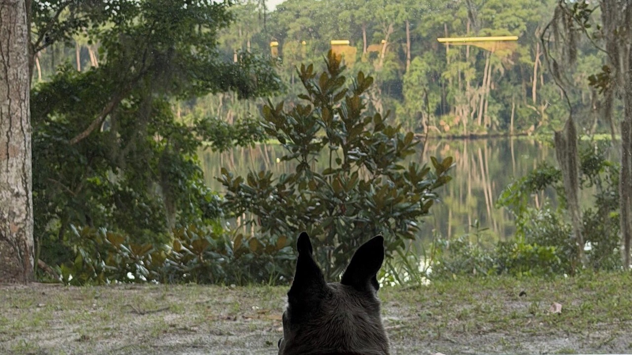 Photo of Others in Satsuma