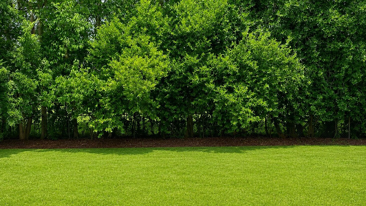 Photo of Others in Madison
