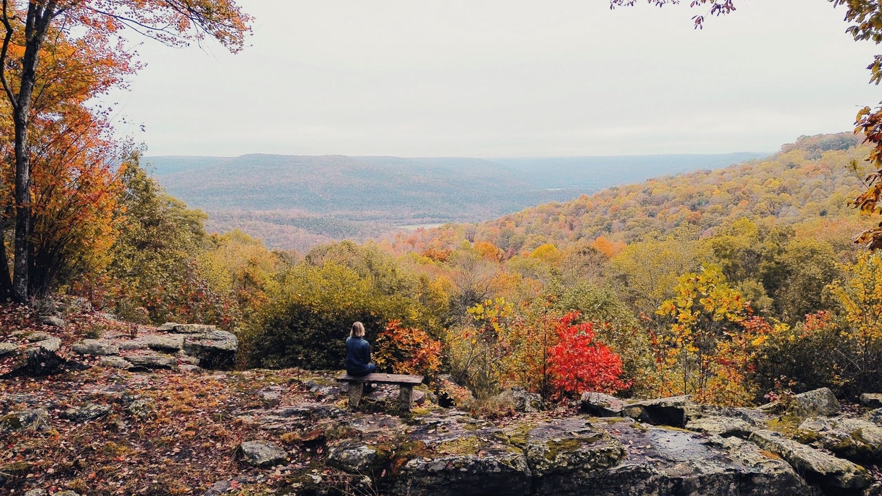 Photo of Others in Sewanee