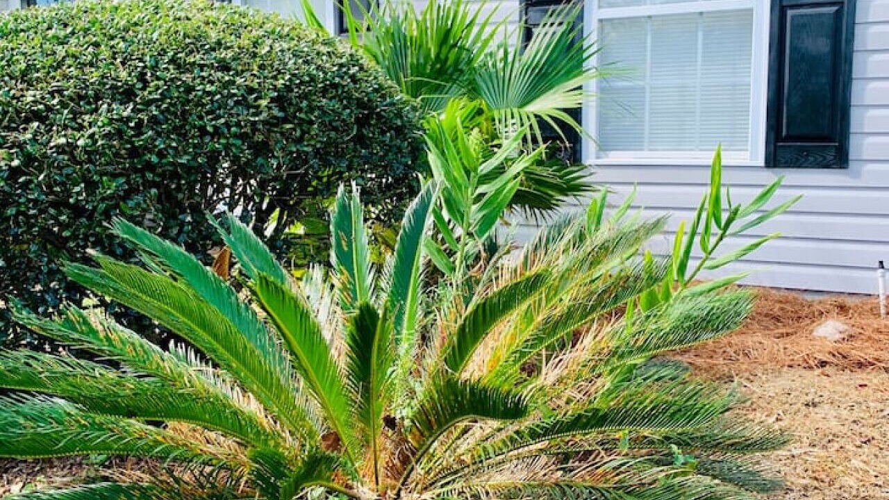 Photo of Outdoor in Charleston