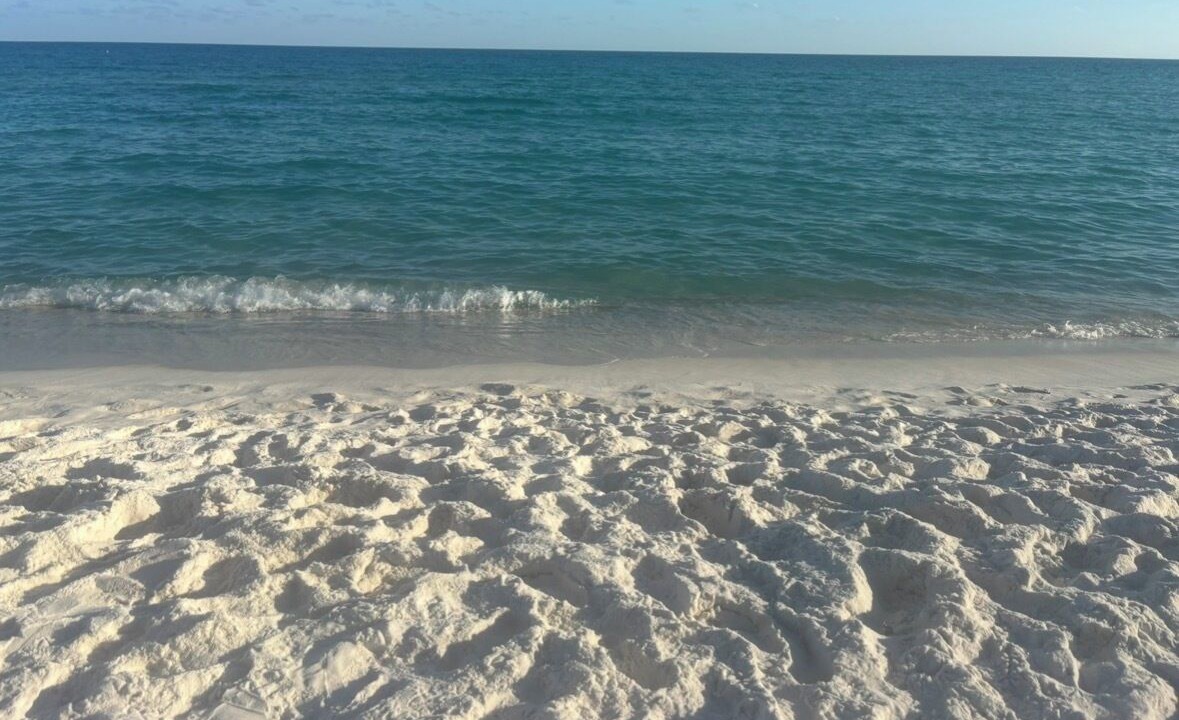 Photo of Others in North Northwest Pensacola
