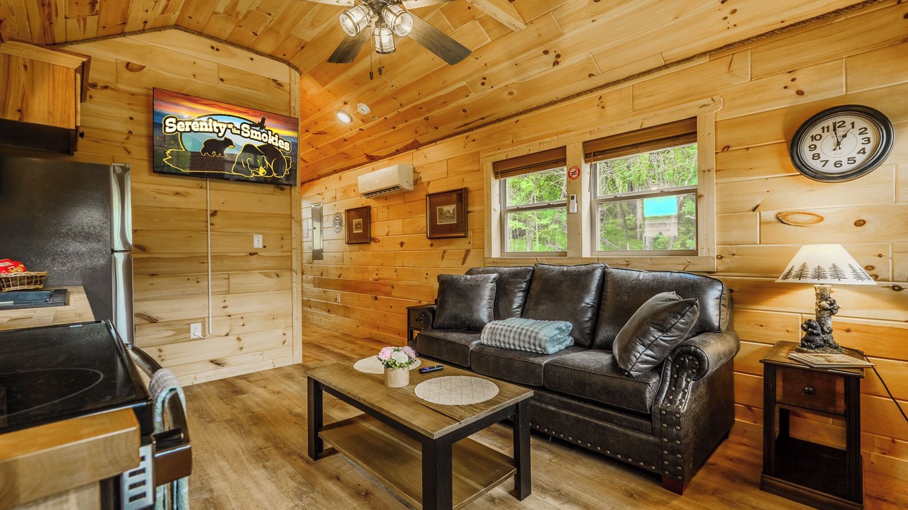 Photo of Livingroom in Kodak