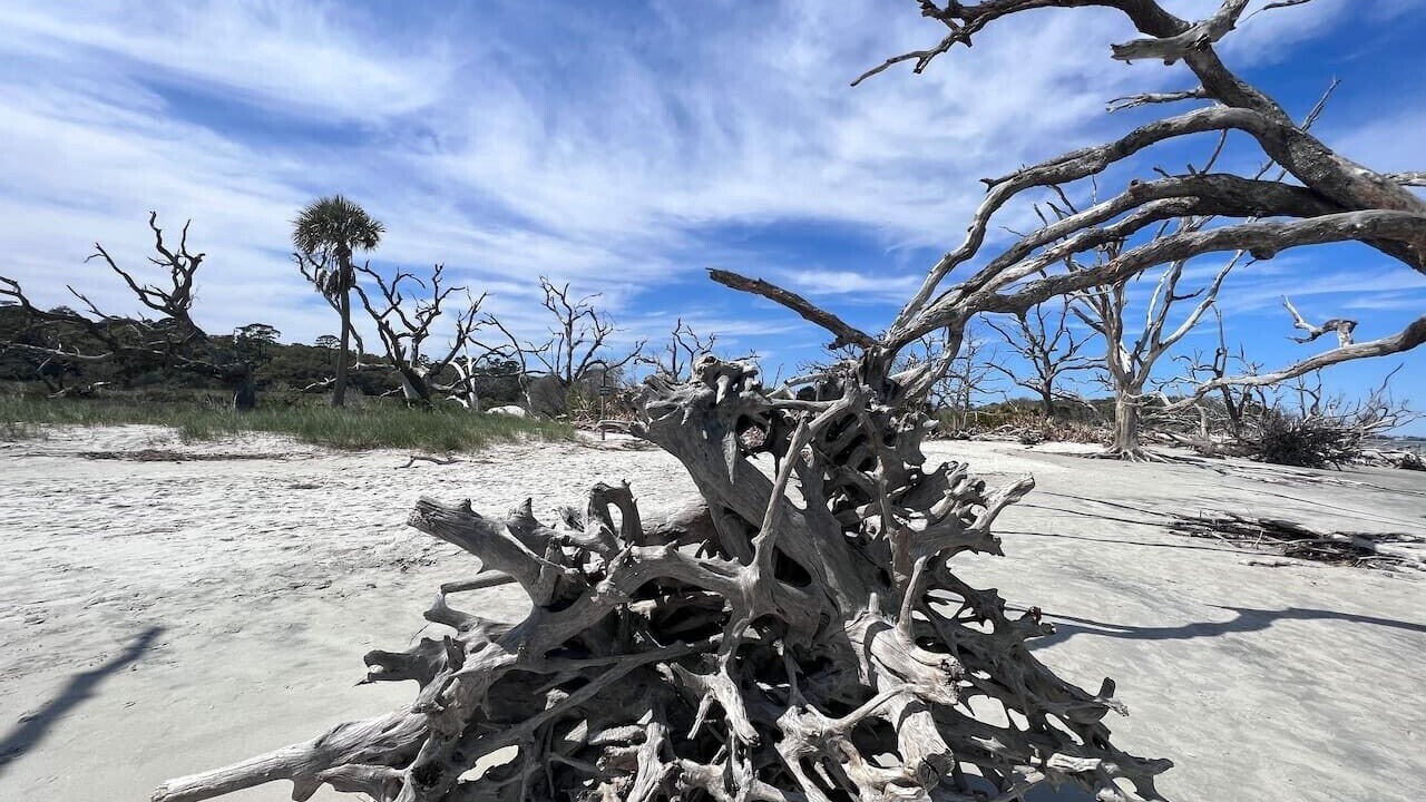 Photo of Others in Saint Simons Island