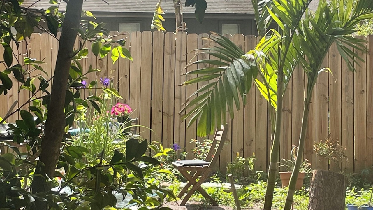 Photo of Outdoor in East Arlington