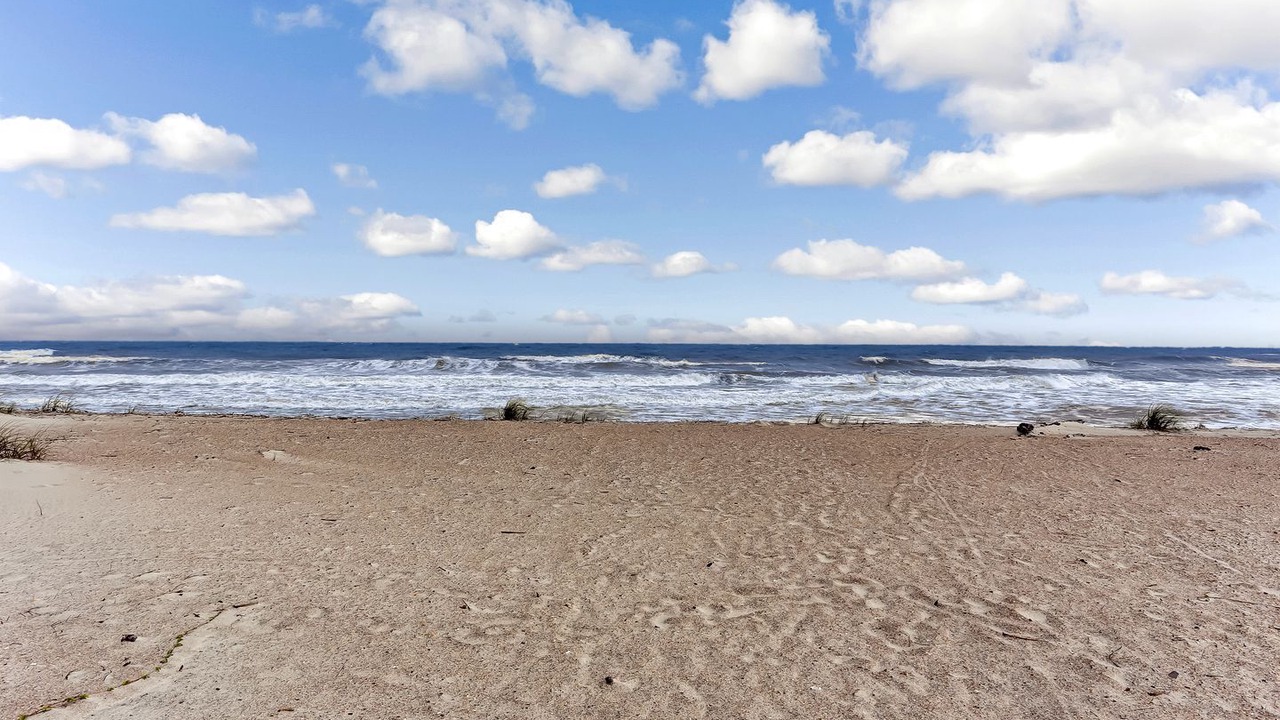 Photo of Others in Fernandina Beach