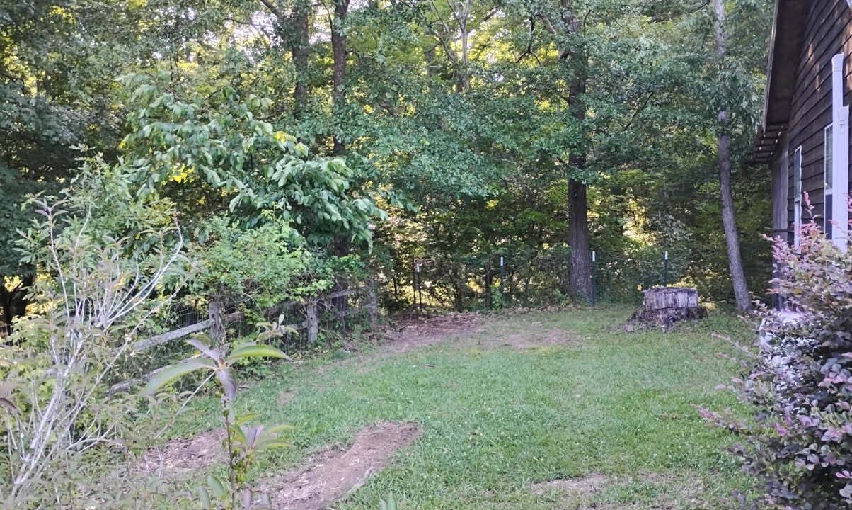 Photo of Outdoor in Piedmont