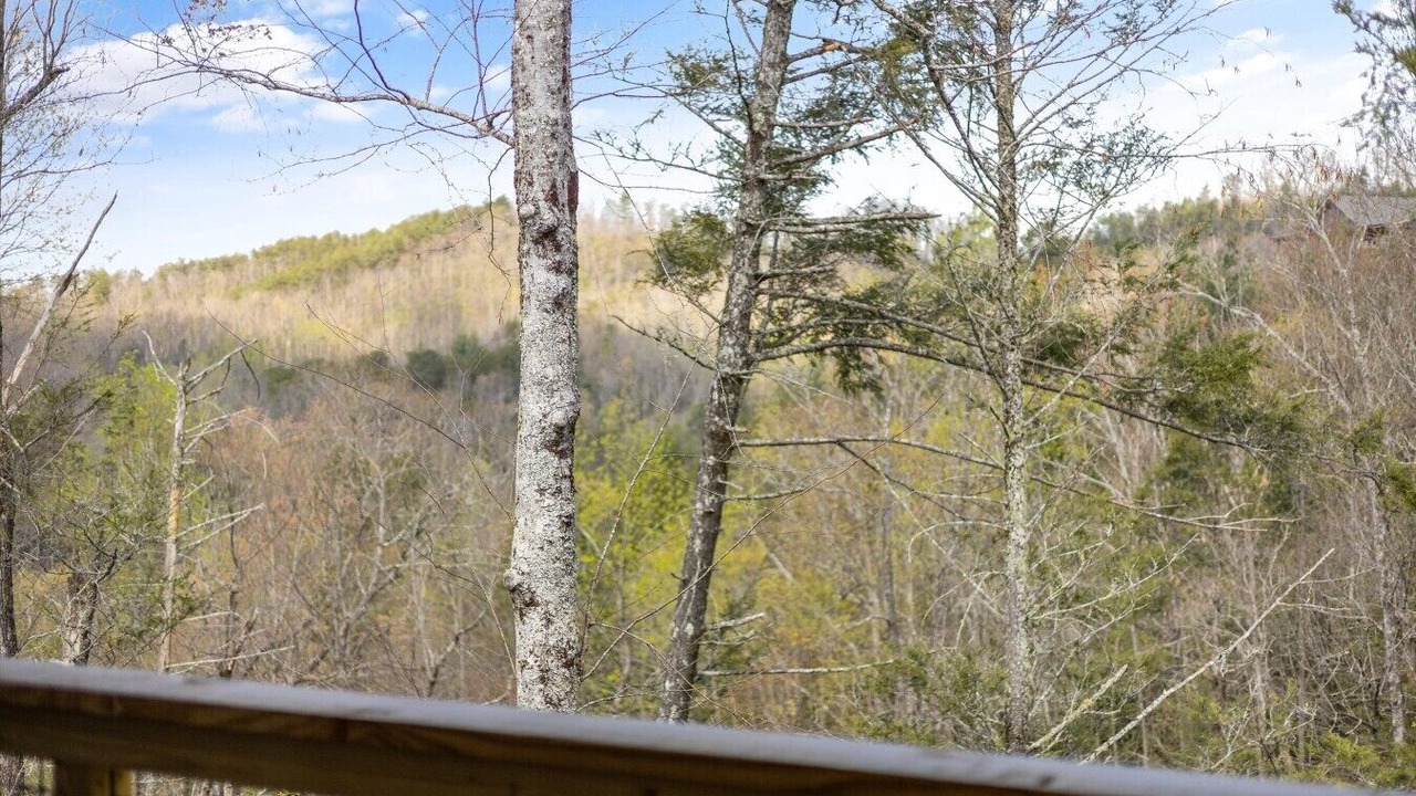 Photo of Patio Balcony in Rocky Grove