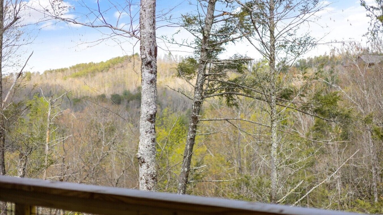 Photo of Patio Balcony in Rocky Grove