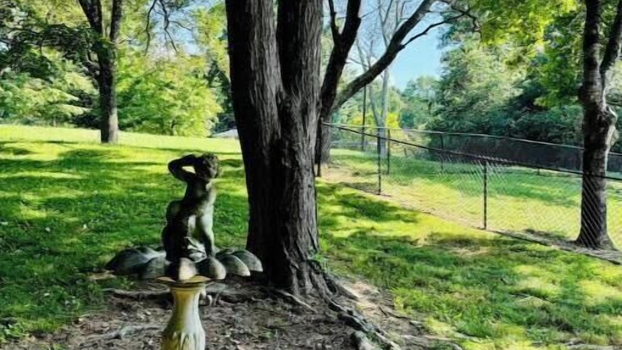 Photo of Outdoor in Shelby