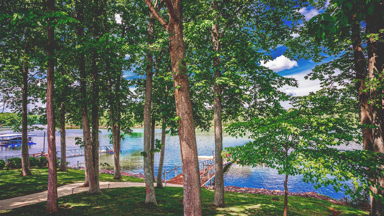 Photo of Others in Estill Springs