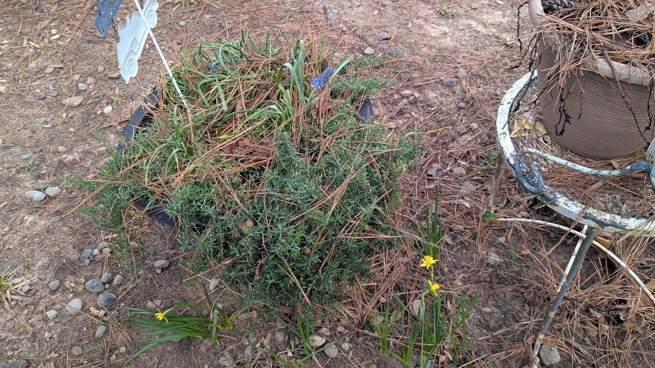Photo of Outdoor in Mooresville
