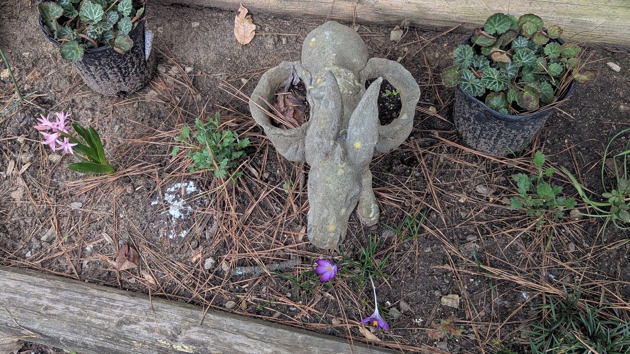Photo of Outdoor in Mooresville