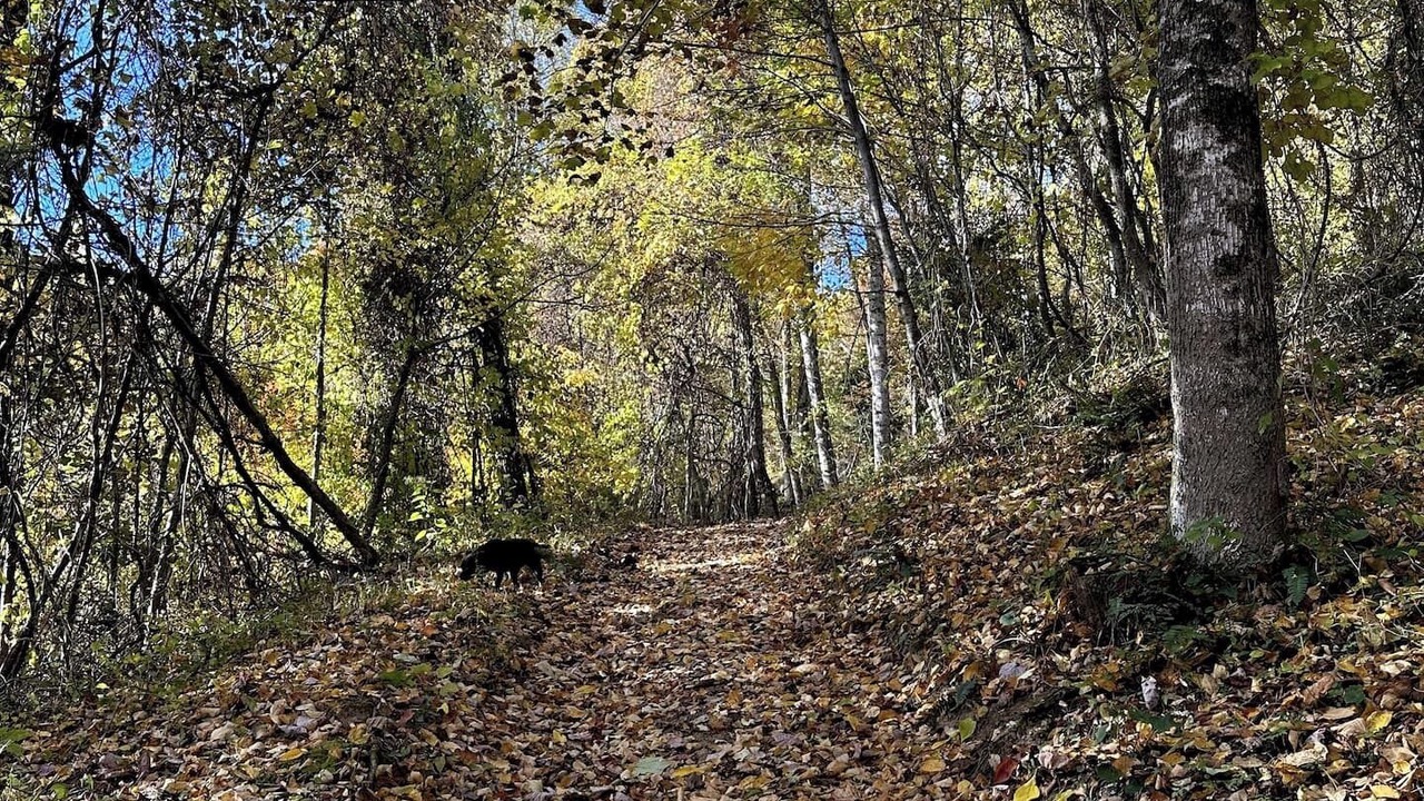 Photo of Outdoor in Canton