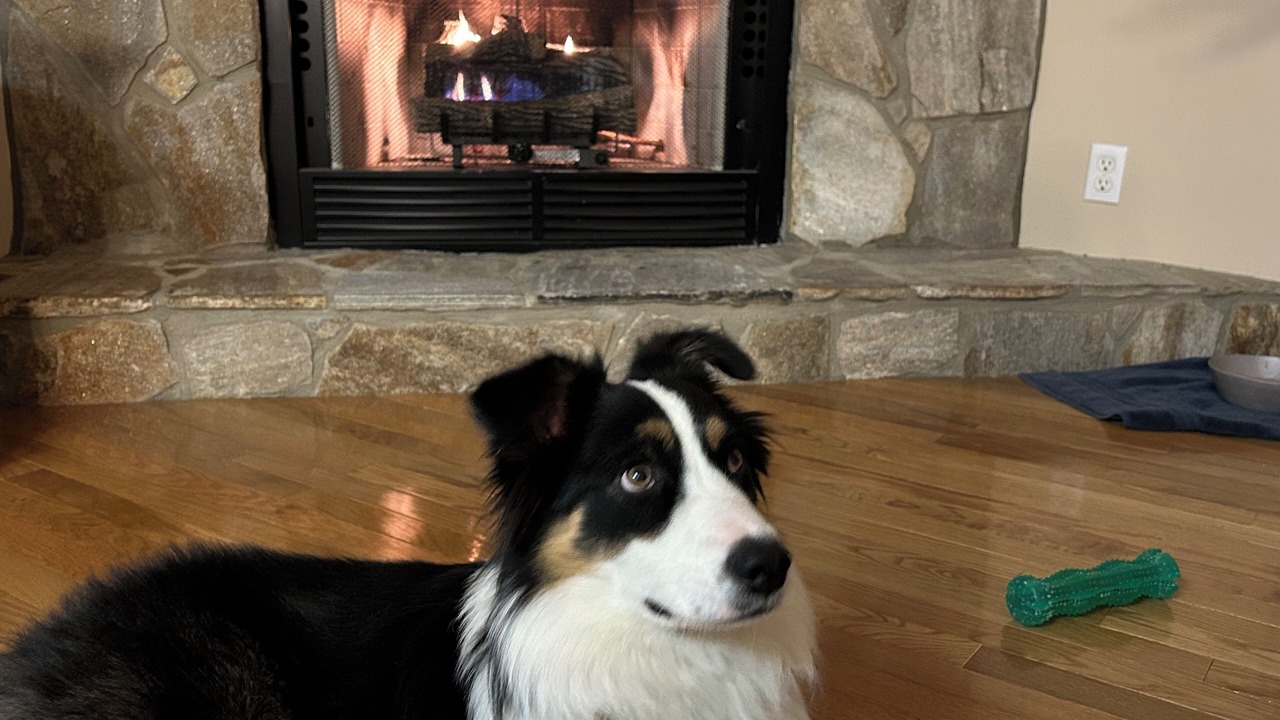 Photo of Others in Maggie Valley