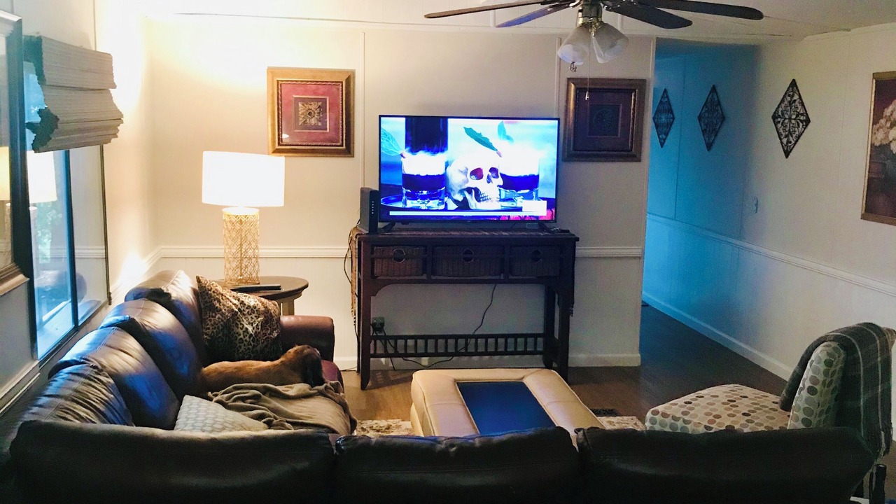 Photo of Livingroom in Belmont