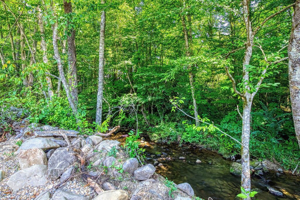 Photo of Outdoor in Cosby