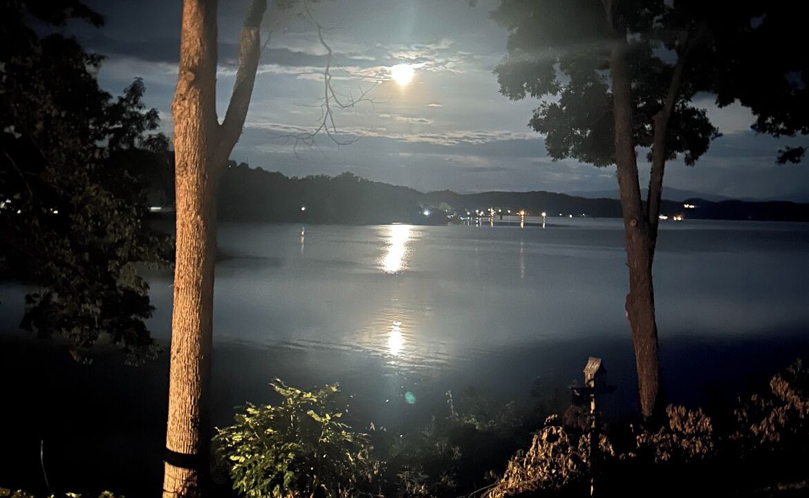 Photo of Outdoor in Baneberry