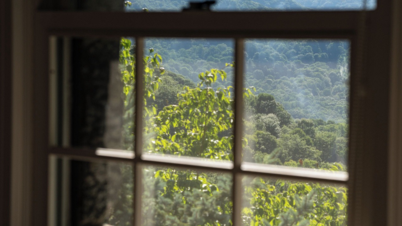 Photo of Others in Maggie Valley